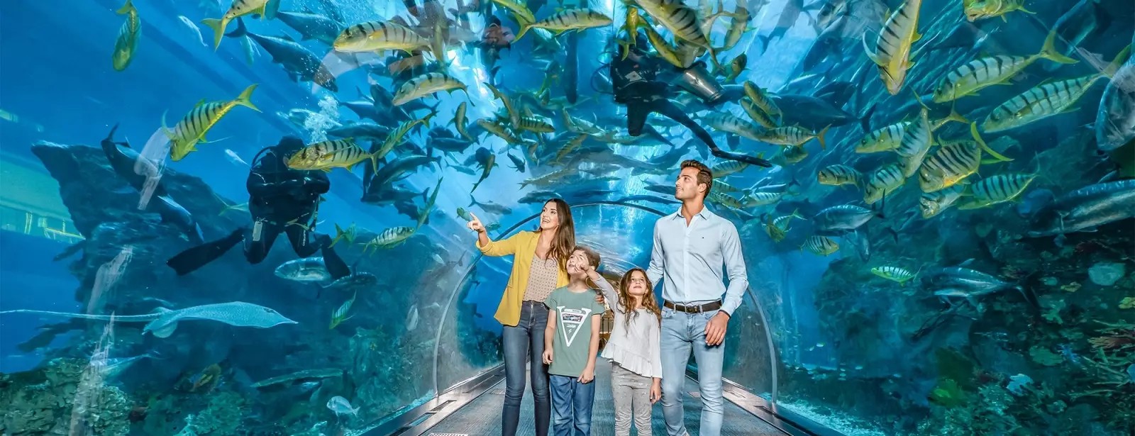 דובאי מול בלילה עם מזרקות דובאי ובורג׳ ח׳ליפה ברקע